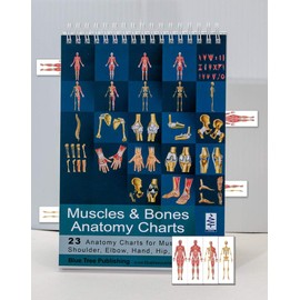 Blue Tree Publishing Muscle and Bones Anatomy Flip Book