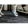 G-Floor for Pets - Protective Floor Covering – Levant 5’x10’