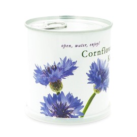 MacFlowers Small Growing Set with Cornflower Design White Edition Gift Set with a Variety of Seeds in Cute Instant Flower Box