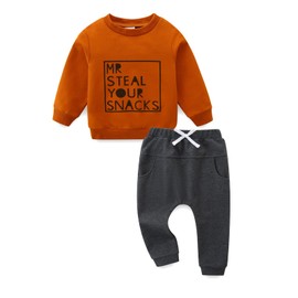 Toddler Baby Boy Clothes Long Sleeve Crewneck Sweatshirt with Pants Spring Fall Winter Outfits, Mr Brown, 2-3T