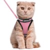 rabbitgoo Cat Harness and Leash Set for Walking Escape Proof,