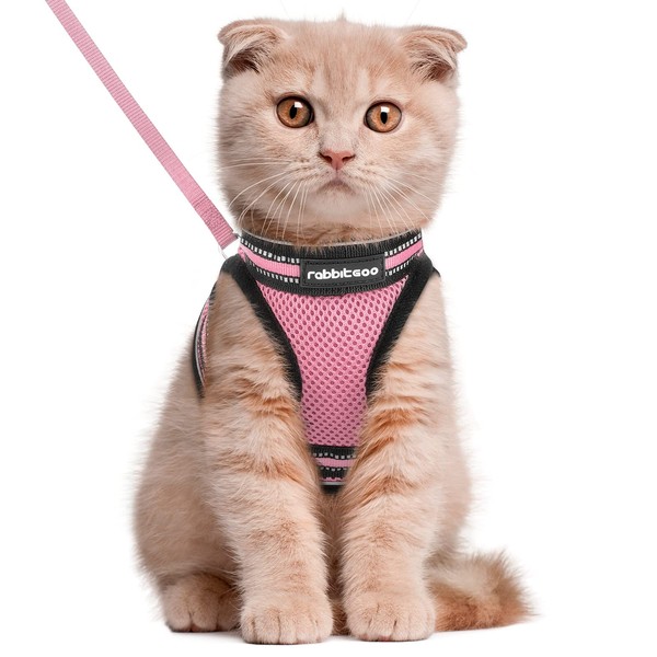 rabbitgoo Cat Harness and Leash Set for Walking Escape Proof,