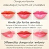 3pcs Petal Color-changing Lip Balm, Long-lasting, Moisturizing, Not Easily Fading,