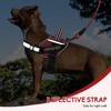 Service Dog Vest Harness and Leash Set, Animire in Training