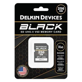 Delkin Devices Black Rugged SDXC Memory Card, UHS-II, C10, U3, V60, Full HD & 8K Video, Fast Speeds Up to 290MB/s Read, 190MB/s Write, Ideal for Photographers and Videographers (256GB)