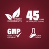 Piping Rock Iron Gummies Supplement | 70 Count | for