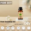 Wuvezrub Basil Essential Oils 10ML, Organic 100% Pure and Natural