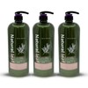 Naturallyf Naturally Leaf Tea Tree Fresh Herb Floral Scent Shampoo 1500ml 3ea
