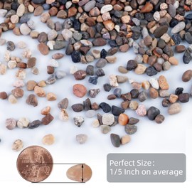Ausluru 5lb Natural Mixed Color Gravel Pebbles, 1/5 inch Decorative Stones for Succulents, Pebbles for Vases,Plants Rocks, Aquarium Gravel, Top Dressing, Outdoor Decorative Rocks