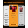 OKLPF LED Tail Light with Blind Spot Compatible With 2018