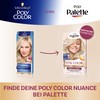 Poly Palette Vital Colour Intensive Cream Hair Colour 10-11 Silver