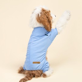 Fitwarm 2 Pack Lightweight Fleece Dog Pajamas, Warm Winter Dog Clothes for Small Dogs Boy Girl, Fuzzy Pet Onesie with Feet, Light Sky Blue, Turquoise, XXL