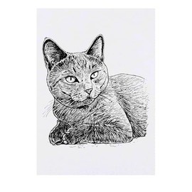 'Chartreux Shorthair Cat' Temporary Tattoo - Water Resistant, Skin-Safe, Non-Toxic Transfer (TO00075029)