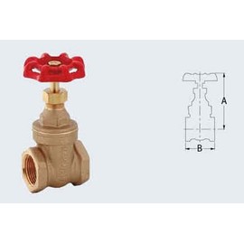 Kakudai Gate Valve 654-001-25