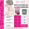 Lactation Cookies Mix - Gluten Free and Dairy Free Oatmeal