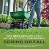 Scotts Turf Builder Grass Seed Tall Fescue Mix with Fertilizer