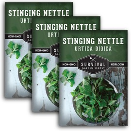 Stinging Nettle Seed for Planting - 3 Packets with Instructions to Plant and Grow Medicinal Herb Common Stinging Nettle in Your Home Herb Garden - Non-GMO Heirloom Variety - Survival Garden Seeds