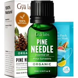 Gya Labs Organic Pine Essential Oil for Diffuser - 100% Pure Natural Pine Needle Essential Oil Organic for Skin, Hair, Candle Making (0.34 Fl Oz)