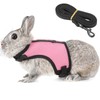 Pettom Bunny Rabbit Guinea Pig Harness Stretchy Elastic Leash Cute