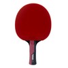 Butterfly Timo Boll Ruby Table Tennis Bat, ITTF Certified Pan