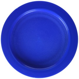 Sammons Preston Plate with Inside Edge, 9" Plate with Food Spill Prevention Aid, Durable Plates with Inner Lip, Eating Support for Children, Adults, Elderly and Disabled, Polypropylene, Blue