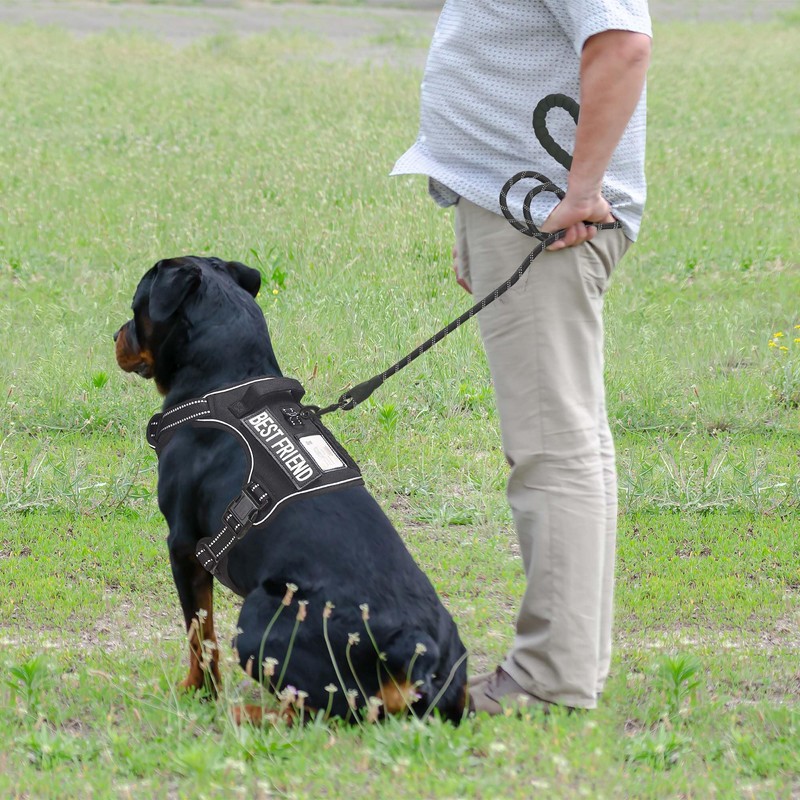 Beebiepet Heavy Duty Tactical Dog Harness for Large Dogs, No