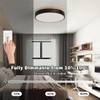 Dimmable Modern Wood Ceiling Light, Black LED 5CCT 2700K-6000K Flush