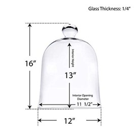Glass Cloche Dome Terrarium Bell Jar, H-16, D-12 - Wedding, Event and Home Decor