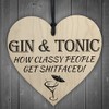 RED OCEAN Gin & Tonic Classy People Novelty Wooden Hanging