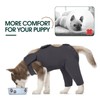 Kuoser Dog Bodysuit After Op, Dog Bodysuit After Surgery Body