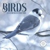 Bird Wall Calendar 2025 | 12” x 24” Birds: Feathered