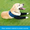 Coodeo Dog Recovery Sleeves, Cone Collar Alternative, Abrasion Resistant Dog