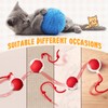 WinnerWhy 6 Pack Interactive Cat Ball Toy 360° Automatic New