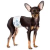 ValueWrap Male Wraps, Disposable Dog Diapers, Carbon, 1-Tab Extra Small,