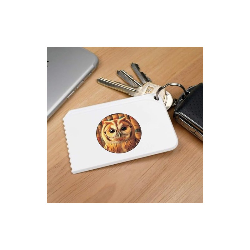 Azeeda 'Tawny Owl Wearing Glasses' Plastic Ice Scraper (IC00041192)