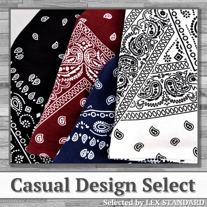 Rex Standard CH080 Knit Hat, Paisley Pattern, Neck Warmer Cap,