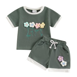 Toddler Baby Girl Summer Clothes Infant 3D Flower T Shirt Shorts Clothing Set Spring Cute Newborn Waffle Outfits (A 3D Embroidery Flower Green, 3-4T)