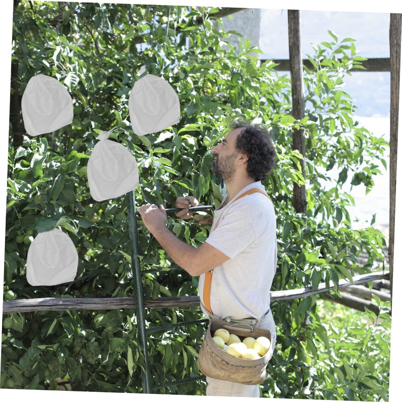BESPORTBLE 100pcs Eco-Friendly Biodegradable Plant Grow Bags Fruit Mesh Bags
