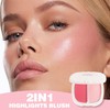MIESCHER 2 in 1 Pearl Blush Blendable Highlights, Blush+Highlight Sea
