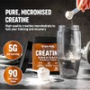 500g Micronised Creatine Monohydrate Powder – 100% Pure Creatine, 5g