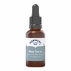 Dorwest Herbs Rhus Tox 6C Homoeopathic Liquid Remedy for Dogs