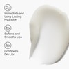 The Ordinary Squalane + Amino Acids Hydrating Lip Balm, for
