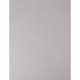 50 Colored Gray Sheet Card Stock Paper - Vellum Bristol Cover, Copy Paper, Printer Paper, 67lbs, 147gsm, 8.5" x 11", Legal Size Cardstock Paper, Thick Paper