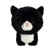 Aurora® Playful Teddy Pets™ Tuxedo Cat Stuffed Animal - Unique