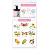 MiCLA Micra Clay Cream Shampoo Cream Shampoo, Made in Japan,