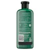 Herbal Essences Bio: renovar miel y vitamina B acondicionador, 13.5