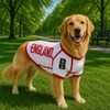 Playera para Perro con diseño Oficial FIFA – Inglaterra –