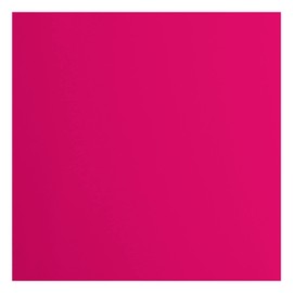 Florence Cardstock Smooth - Coloured Card Making Supplies 12 x 12 inch - Pink - 20 Sheets - Coloured Paper for Scrapbooking, Card Making, Die Cutting and Paper Crafts - 216 GSM - Raspberry