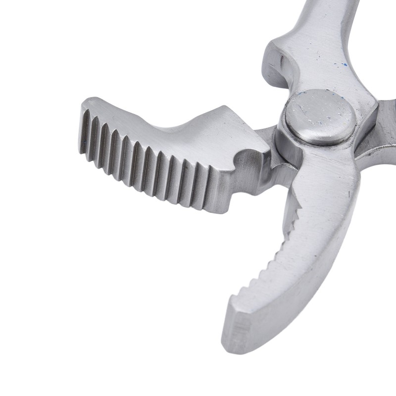 Horse Clincher High Strength Steel Rust Resistant Wear Resistant Hoof