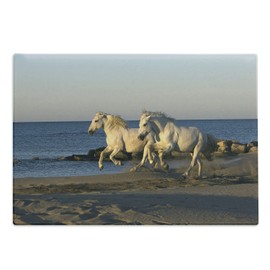 Lunarable Horses Running Cutting Board, Animal Running at Full Gallop Down the Beach on Seascape Background Print, Decorative Tempered Glass Cutting and Serving Board, Large Size, Multicolor